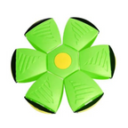 Aktiv Disc-Bold til Hund