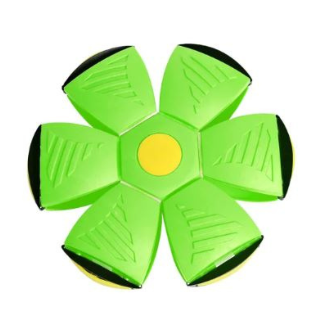 Aktiv Disc-Bold til Hund