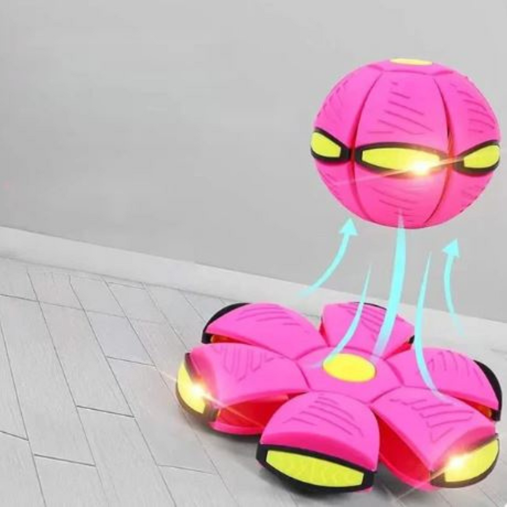 Aktiv Disc-Bold til Hund