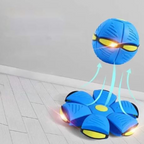 Aktiv Disc-Bold til Hund