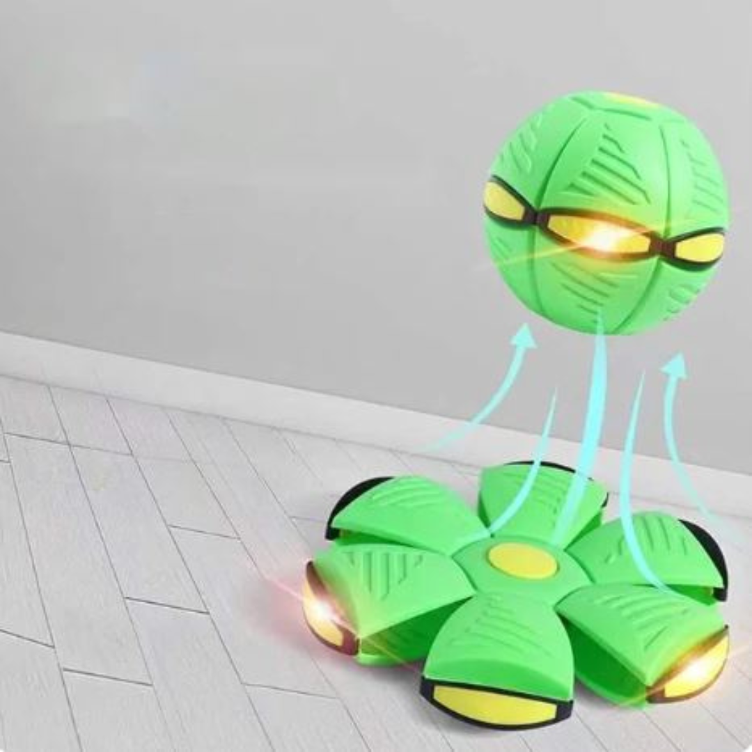 Aktiv Disc-Bold til Hund