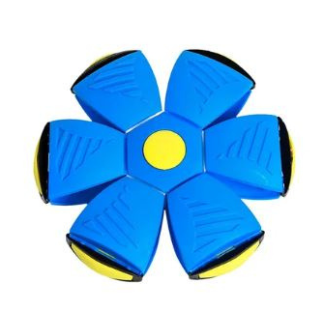 Aktiv Disc-Bold til Hund