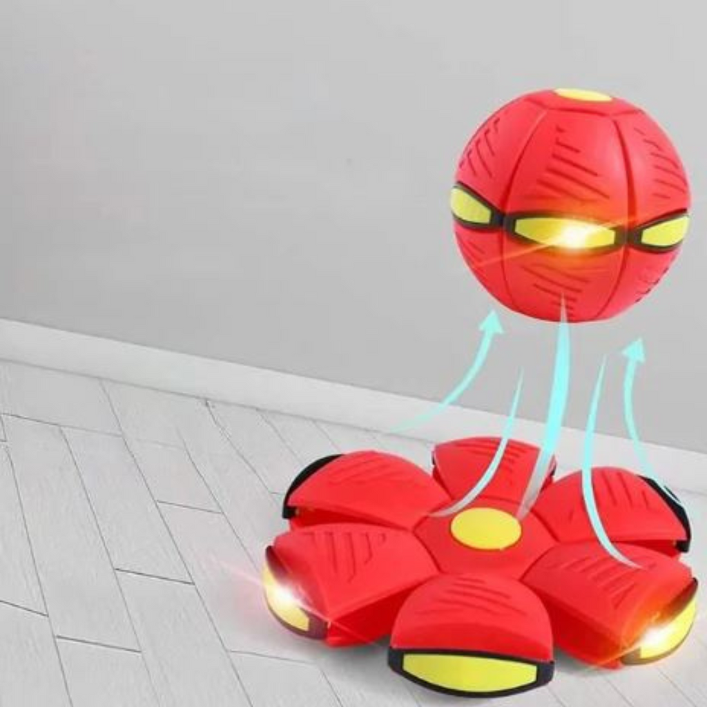 Aktiv Disc-Bold til Hund