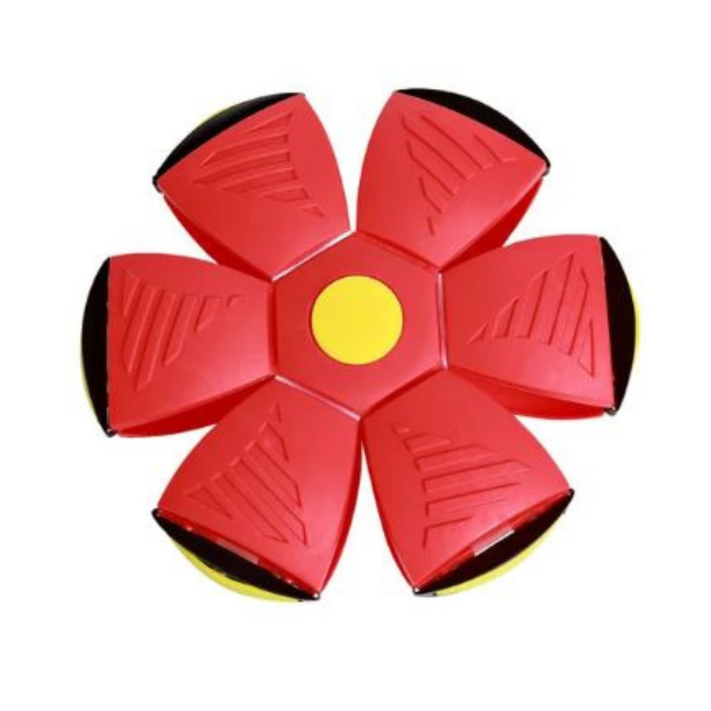 Aktiv Disc-Bold til Hund