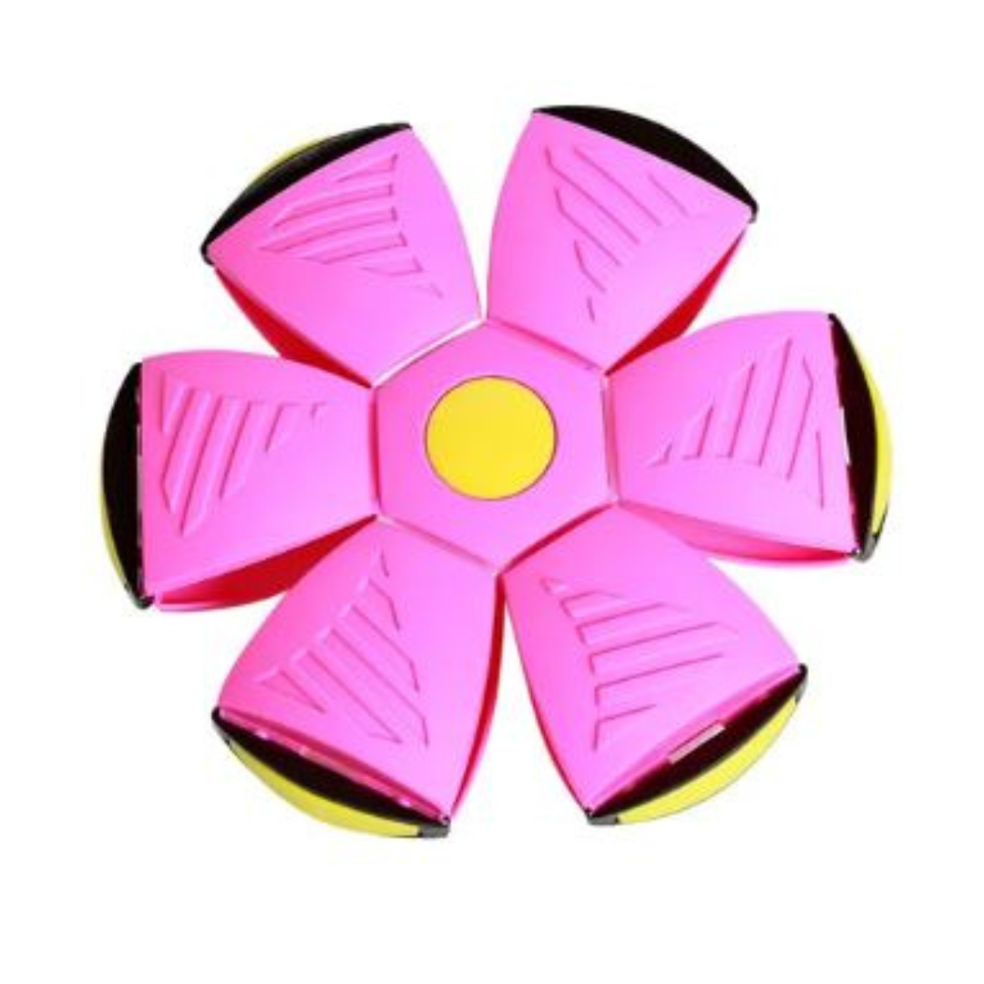 Aktiv Disc-Bold til Hund