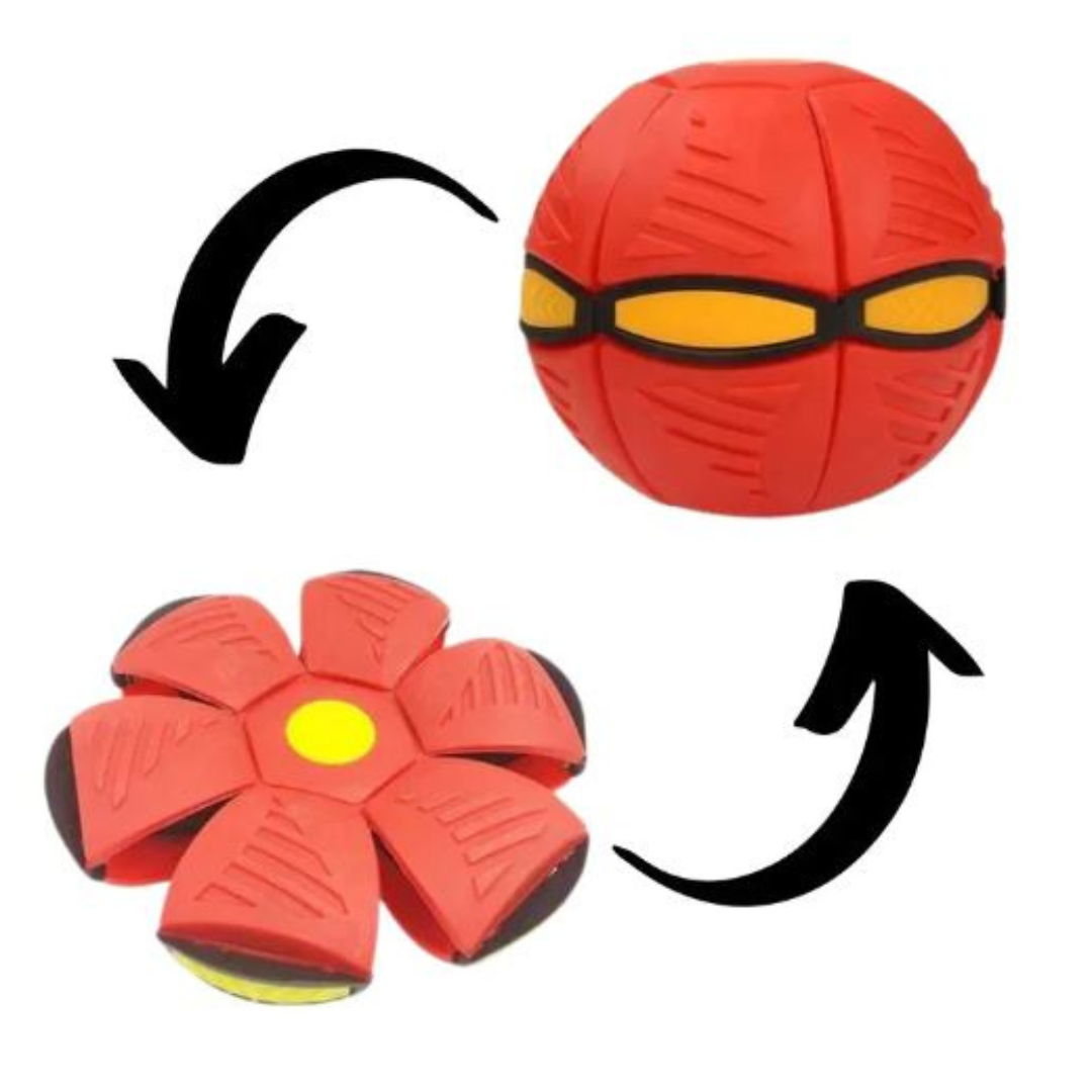 Aktiv Disc-Bold til Hund